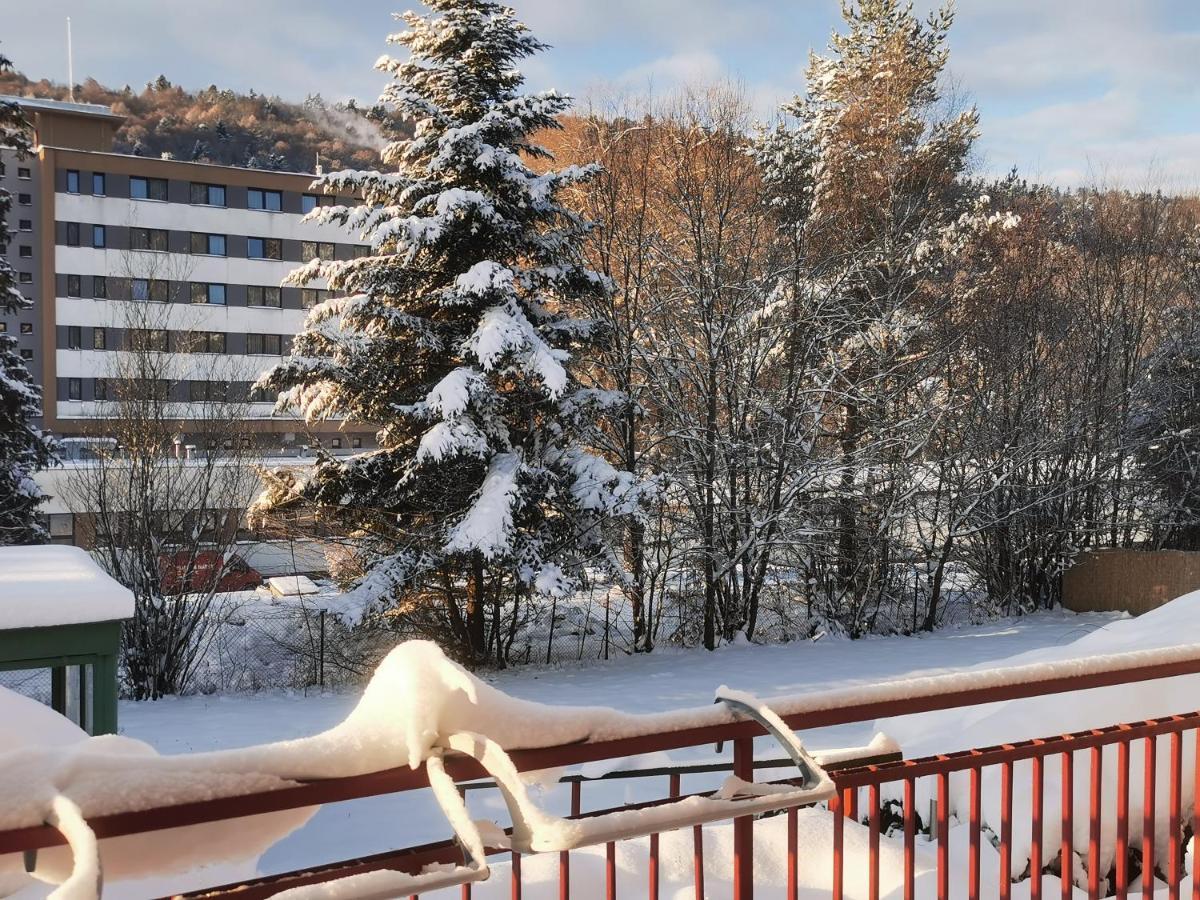 Penzion Zornicka Bardejovske Kupele Bagian luar foto