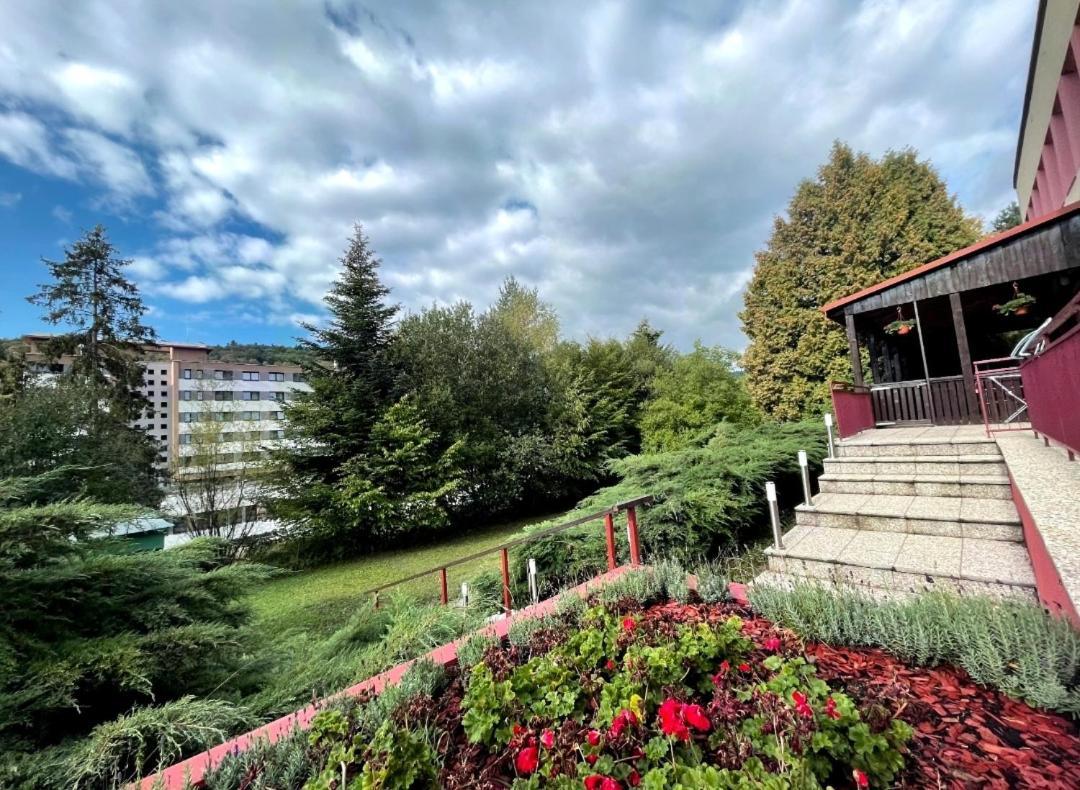 Penzion Zornicka Bardejovske Kupele Bagian luar foto