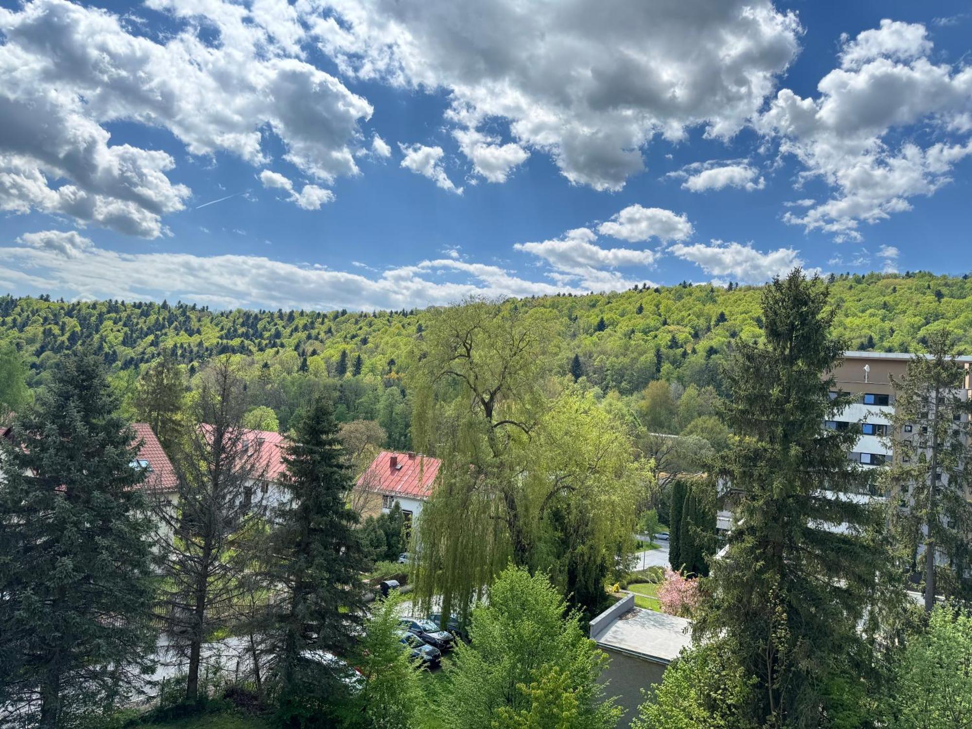 Penzion Zornicka Bardejovske Kupele Bagian luar foto