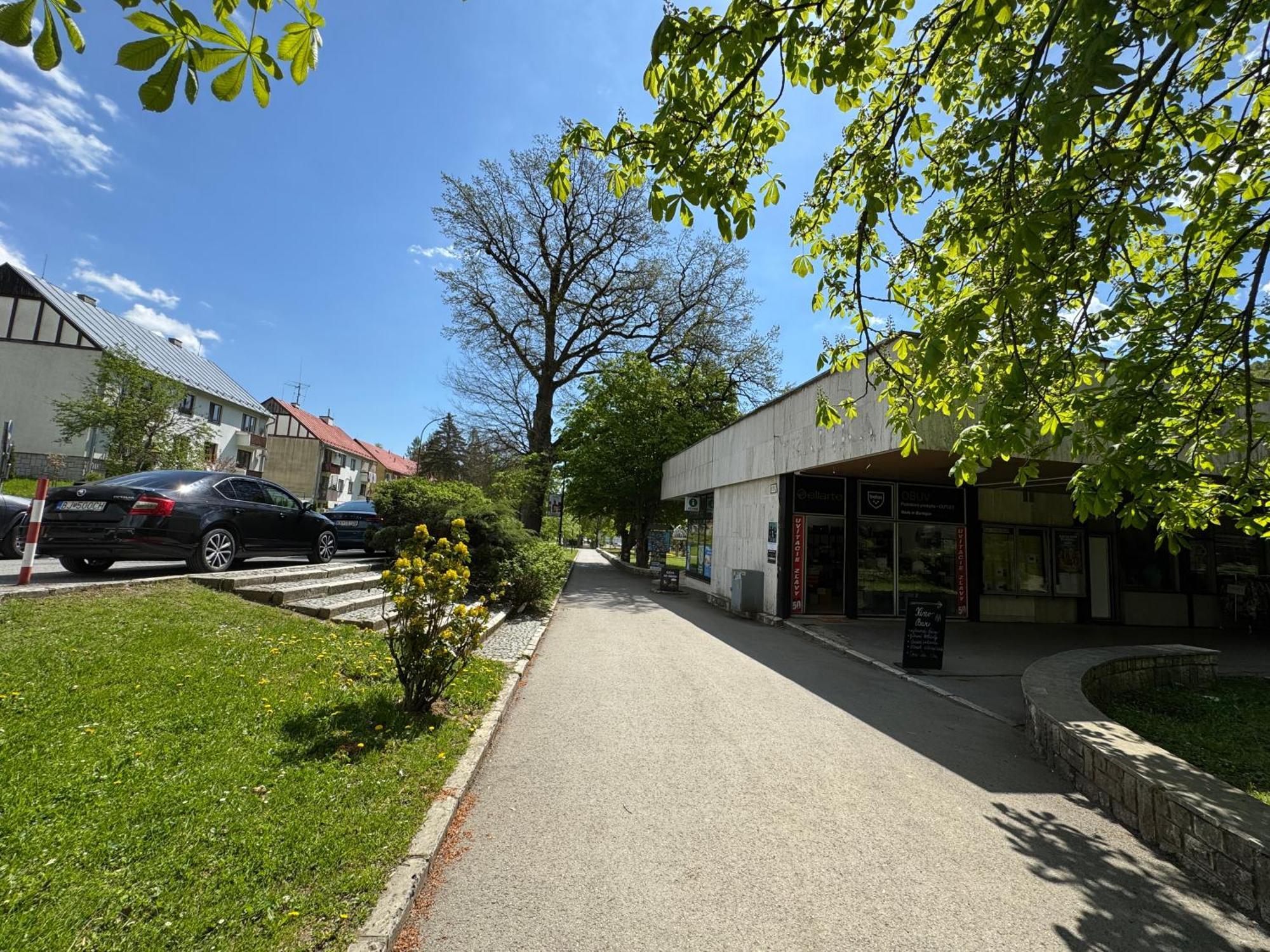 Penzion Zornicka Bardejovske Kupele Bagian luar foto