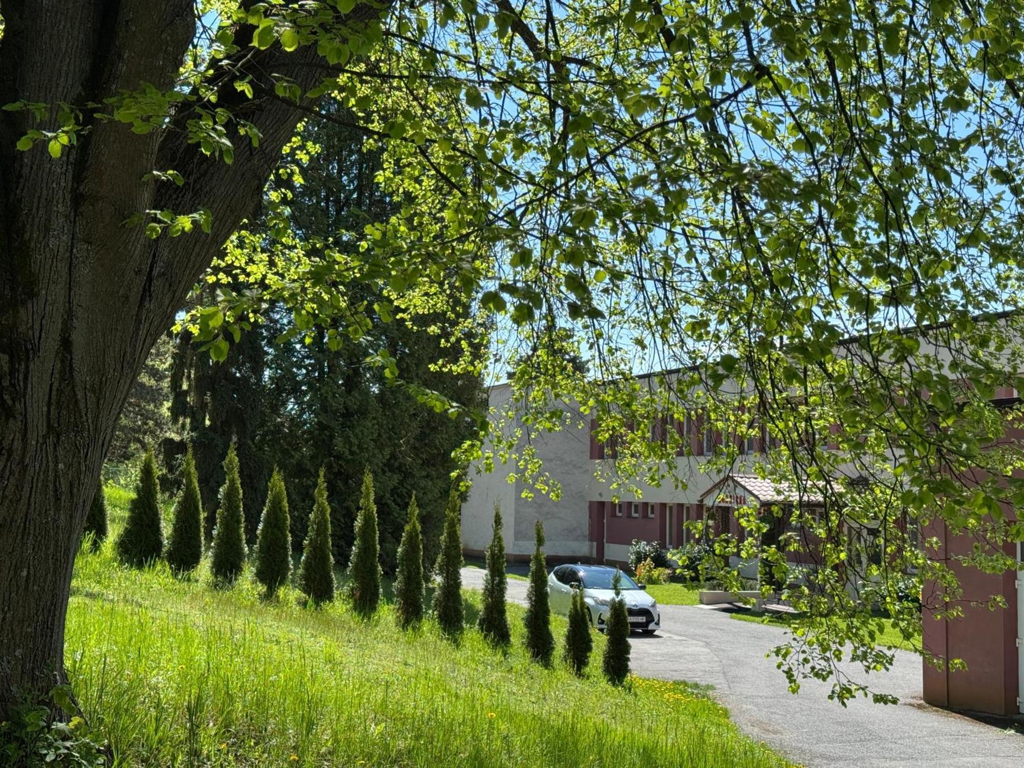 Penzion Zornicka Bardejovske Kupele Bagian luar foto