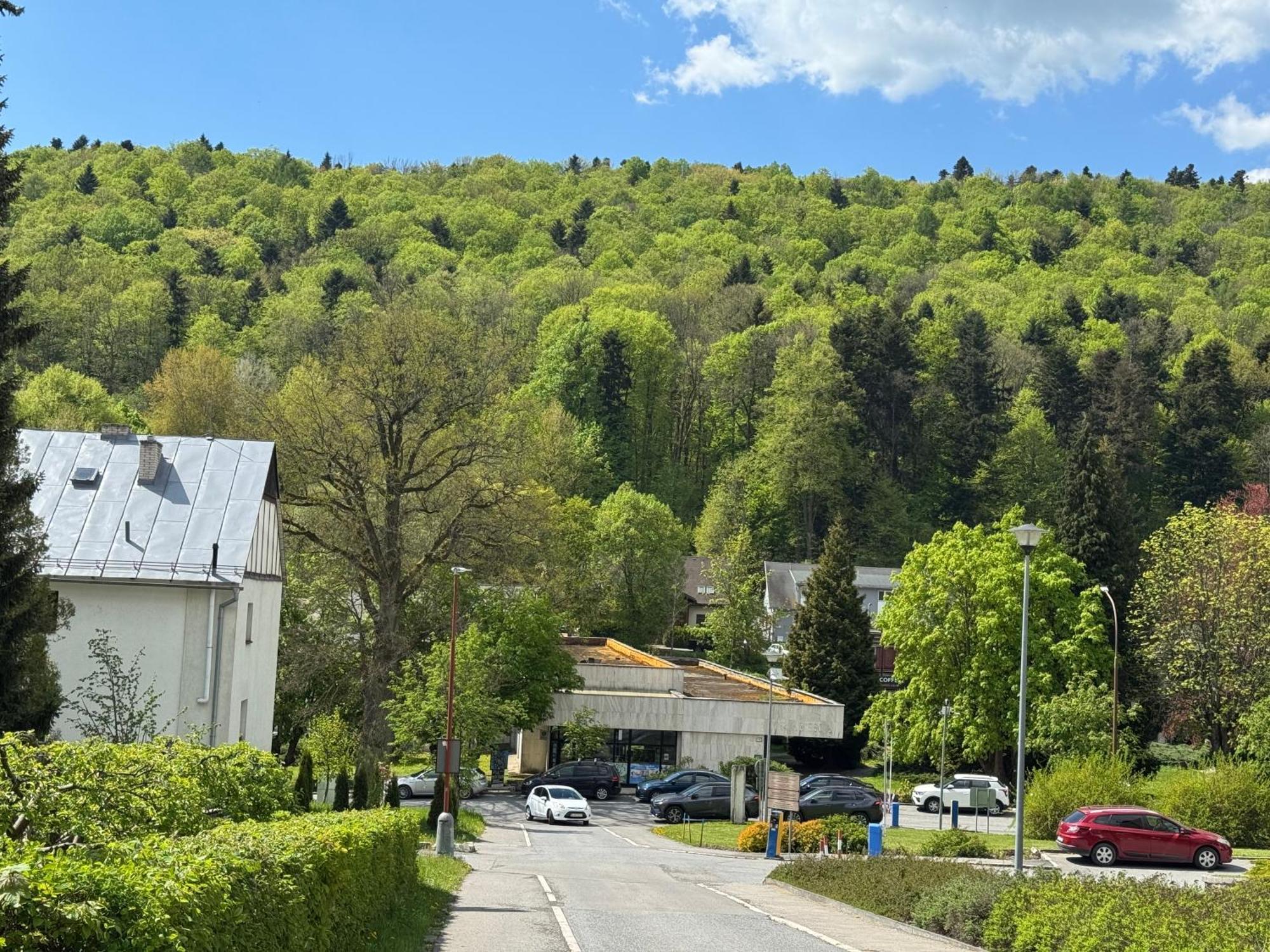 Penzion Zornicka Bardejovske Kupele Bagian luar foto